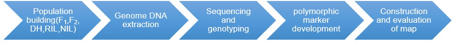 Genetic linkage map workflow