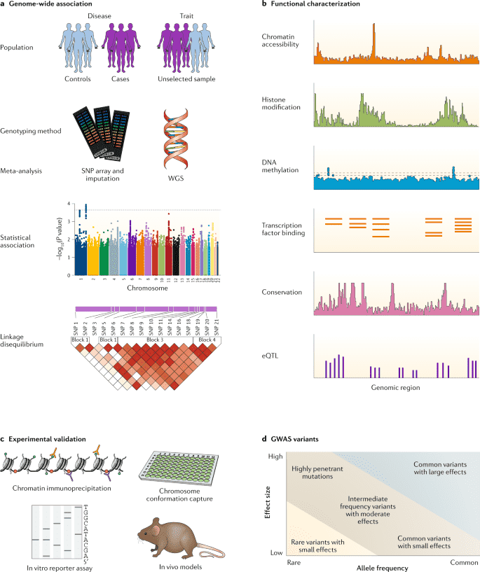 Genome-Wide Association Study: Introduction, Methods, and Application