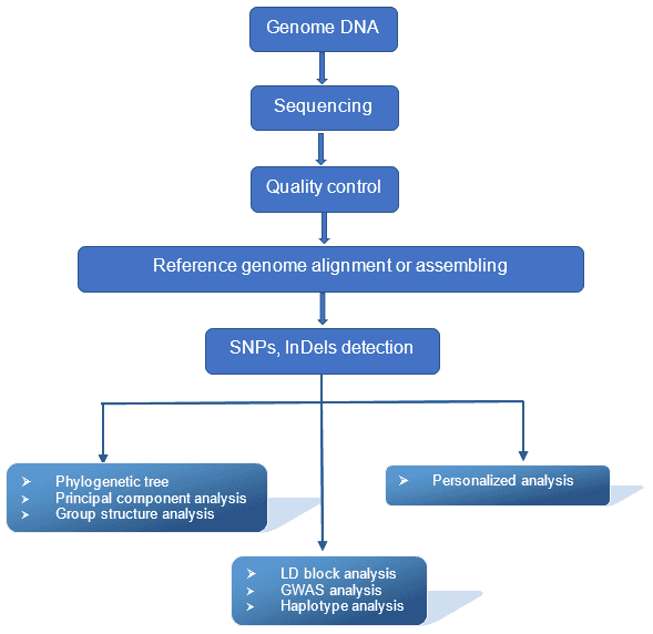 Genome-wide association study (GWAS)