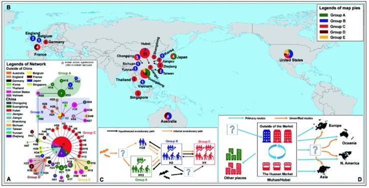 Genomic Research of SARS-CoV-2