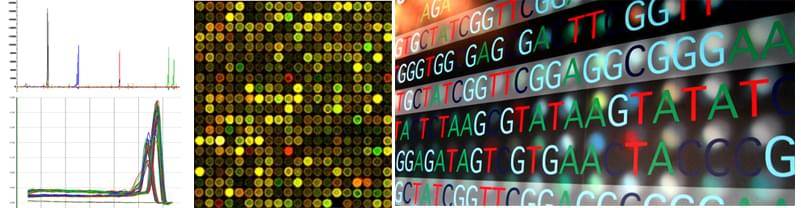 Genotyping