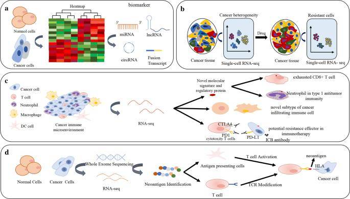 How to Plan Your Next RNA Sequencing Experiment