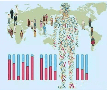 Human Pangenome Reference Consortium Releases Data from 30 Genomes