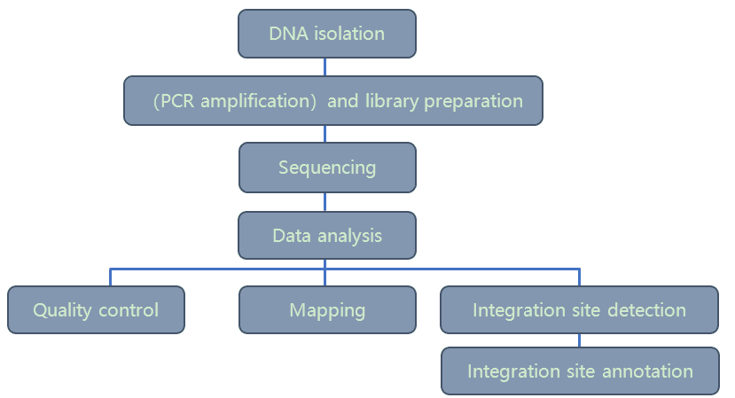 Integration Site Analysis workflow