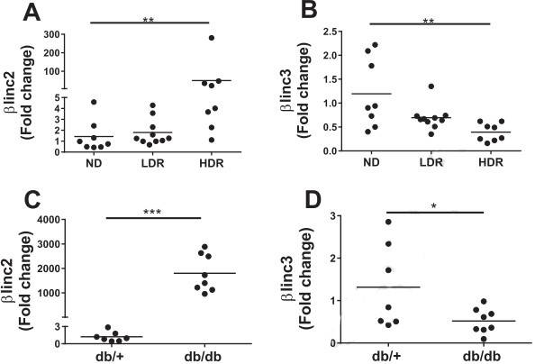 The expression levels of βlinc2 and βlinc3 are modified in islets from mice fed a high-fat diet and in db/db mice.