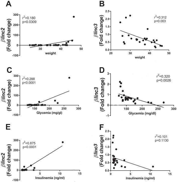 The expression levels of βlinc2 and βlinc3 are modified in islets from mice fed a high-fat diet and in db/db mice.