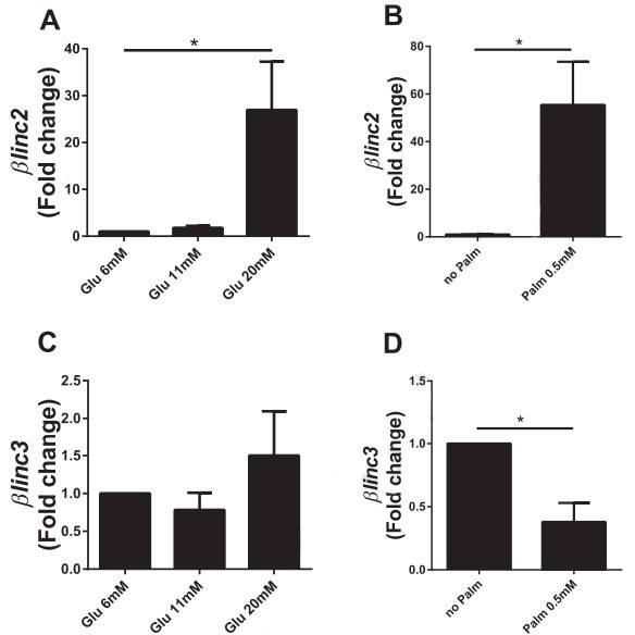 The expression levels of βlinc2 and βlinc3 are modified in islets from mice fed a high-fat diet and in db/db mice.