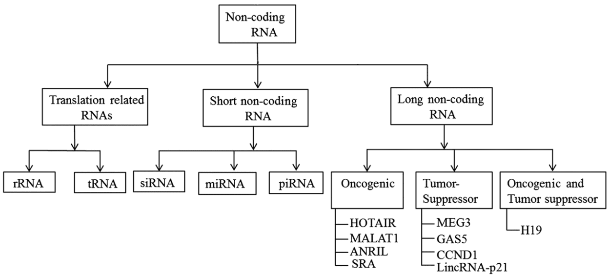 LncRNAs and Their Disease-Specific Applications