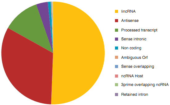 LncRNAs and Their Disease-Specific Applications