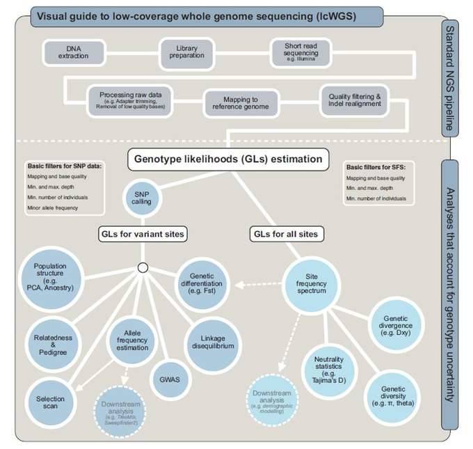 Low-coverage Whole Genome Sequencing