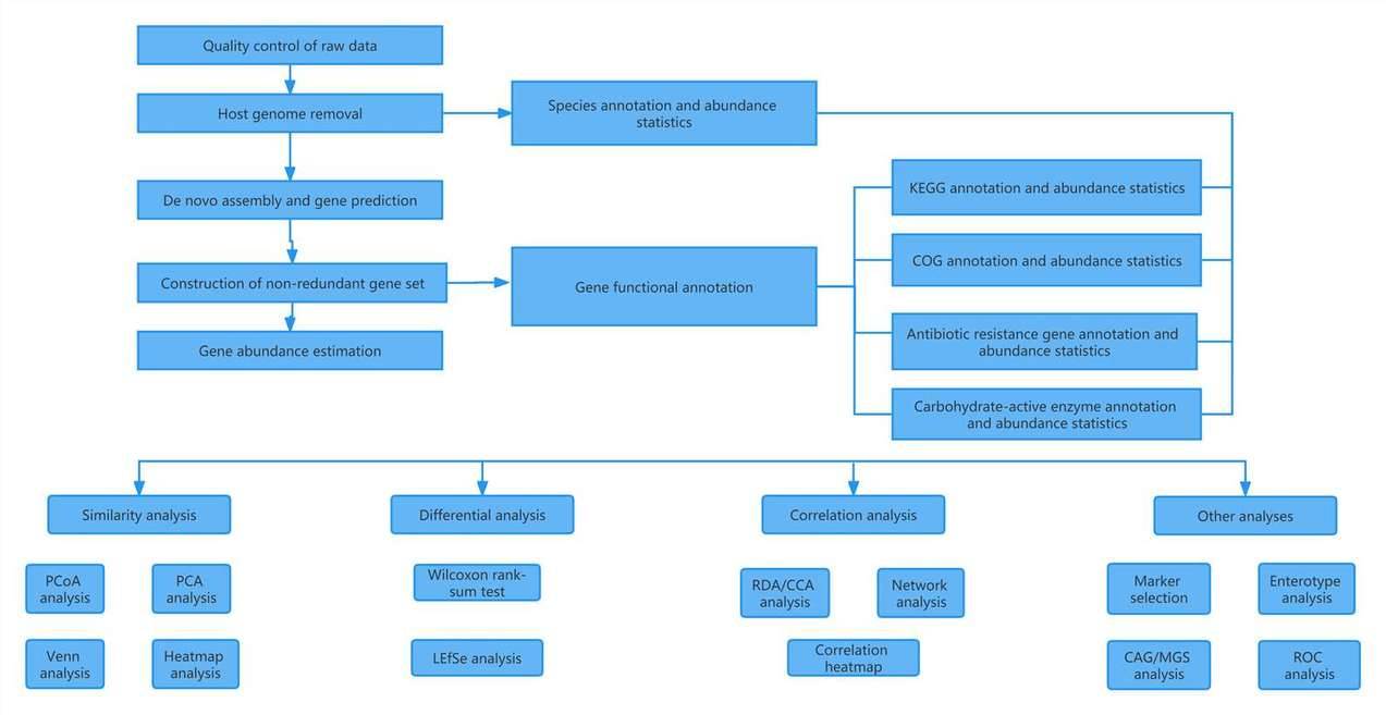 Metagenomics Data Analysis Workflows