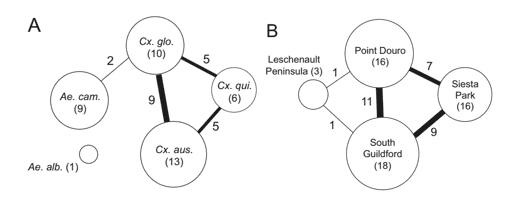 The similarity of viromes between host species (A) and geographic locations (B)