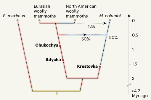 Million-year-old DNA provides a glimpse of mammoth evolution