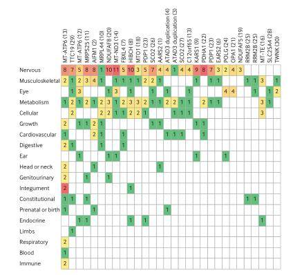 Compositions of different species in the control and miscarriage groups by LEfSe analyses