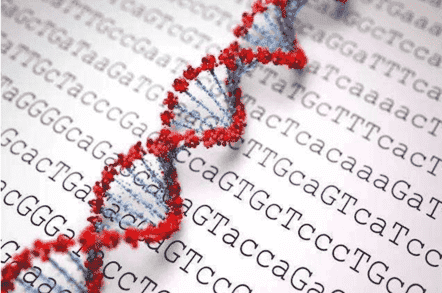 ATCC Launched Its New Reference-Quality Genomes