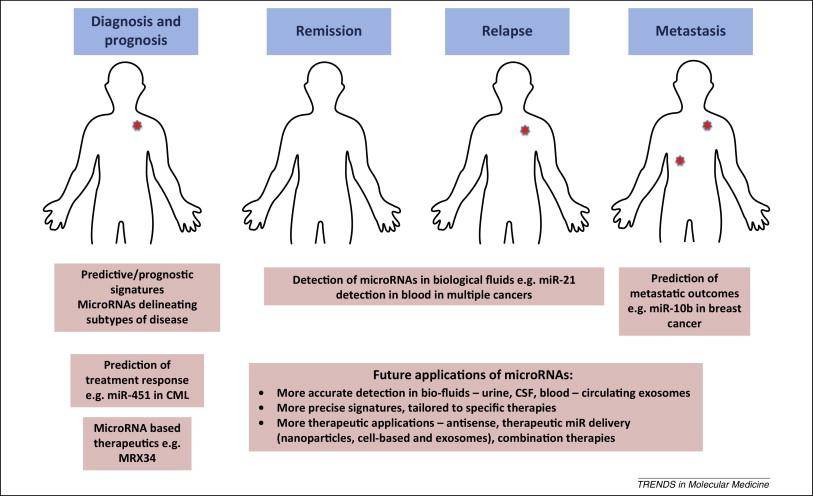 Next-generation sequencing for cancer biomarker discovery