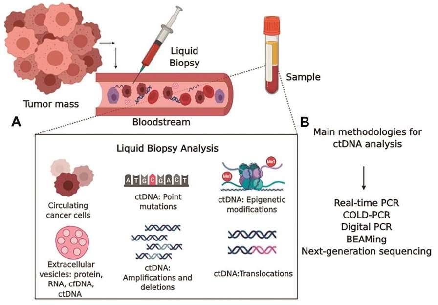 Next-generation sequencing for cancer biomarker discovery