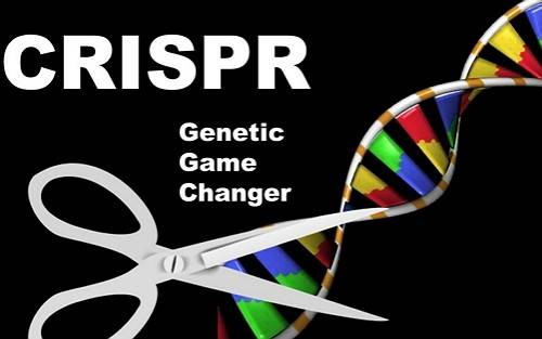 NmeCas9 Can Perform CRISPR Cutting on Both RNA And DNA