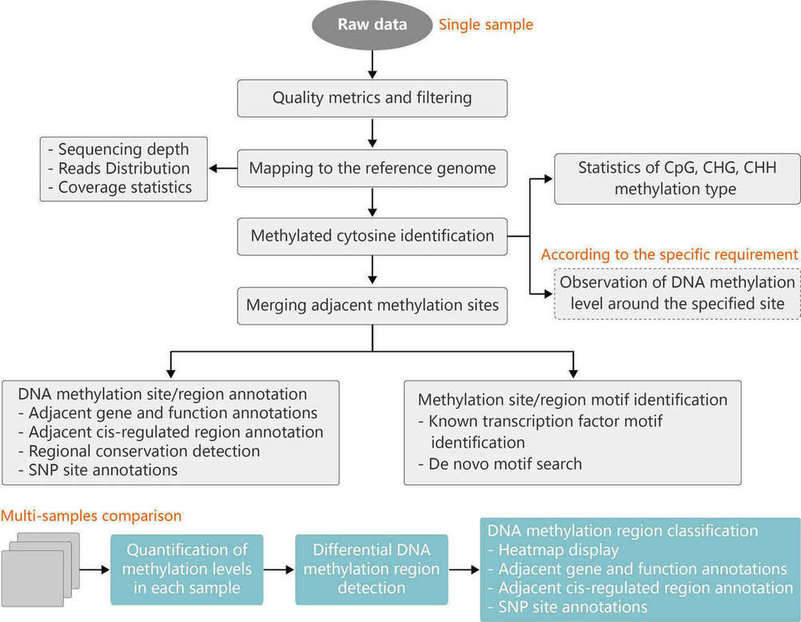 Overview of RRBS Data Analysis: Pipeline, Alignment Tools, Databases, and Challenges