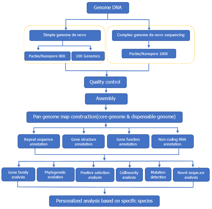 Pan genome analysis pipeline