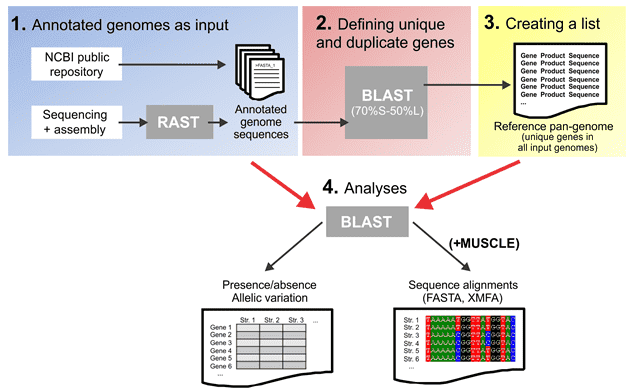 Pan-genome: Definition, Sequencing Methods, and Applications