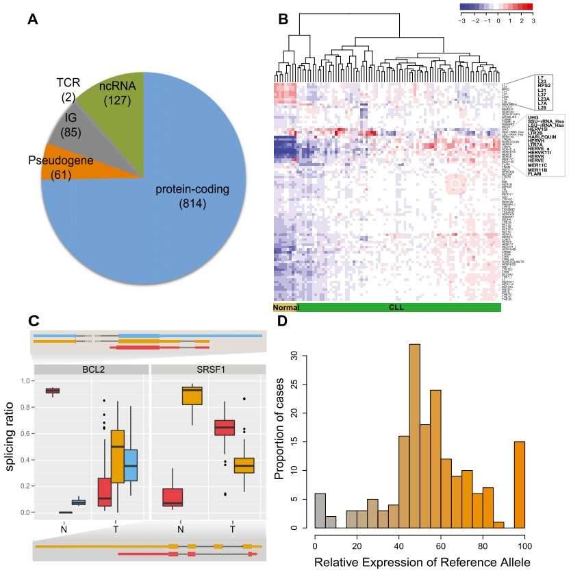 CLL transcriptional landscape. (A) The coding potential of differentially expressed genes between the CLL and normal samples. (B) Normalized expression of transposable elements (TEs). (C) Genes with condition-specific splicing ratios. (D) Allele-specific expression of somatic mutations.