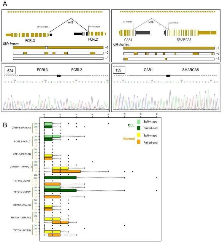 Chimeric junctions between FCRL2-FCRL3 and GAB1-SMARCA5.