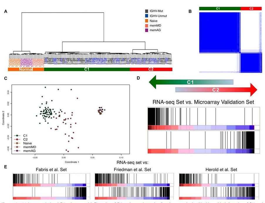 Major transcriptional CLL subgroups. (A) Clustering of CLL and normal samples. (B) Consensus cluster. (C) Multidimensional scaling of CLL and normal samples based on gene expression. (D&E) Enrichment score plot.