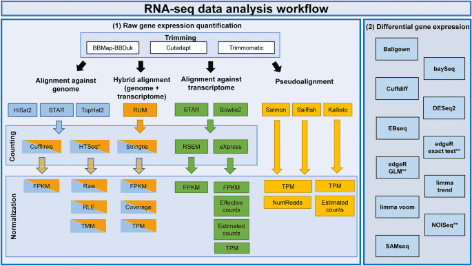 RNA-Seq for Differential Gene Expression Analysis: Introduction, Protocol, and Bioinformatics