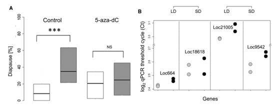 Pharmacological tests by using 5-aza-dC.