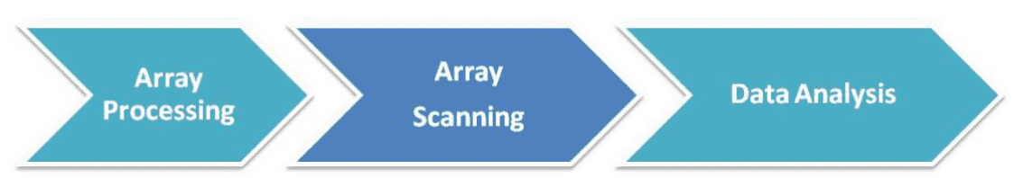 SNP Microarray