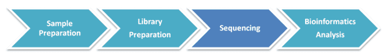 Workflow Diagram of Shallow Whole Genome Sequencing.