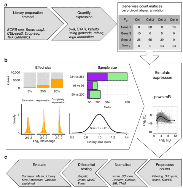 A Systematic Evaluation of Single Cell RNA-seq Analysis Pipelines