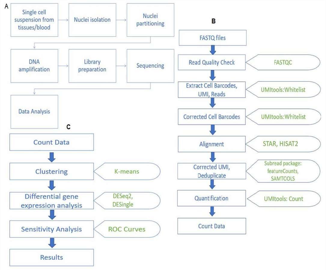 Single-cell RNA sequencing Data Analysis Service workflow