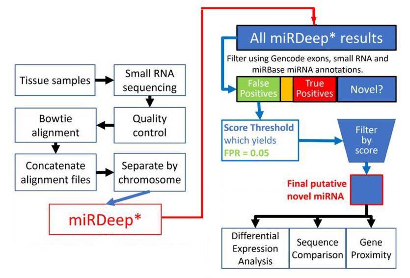 Flowchart depiction of the novel miRNA discovery pipeline.