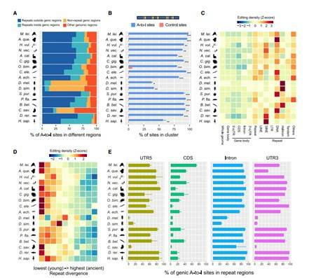 Strand-Specific RNA-Seq Used to Study Gene Function and Pathogenic Mechanisms