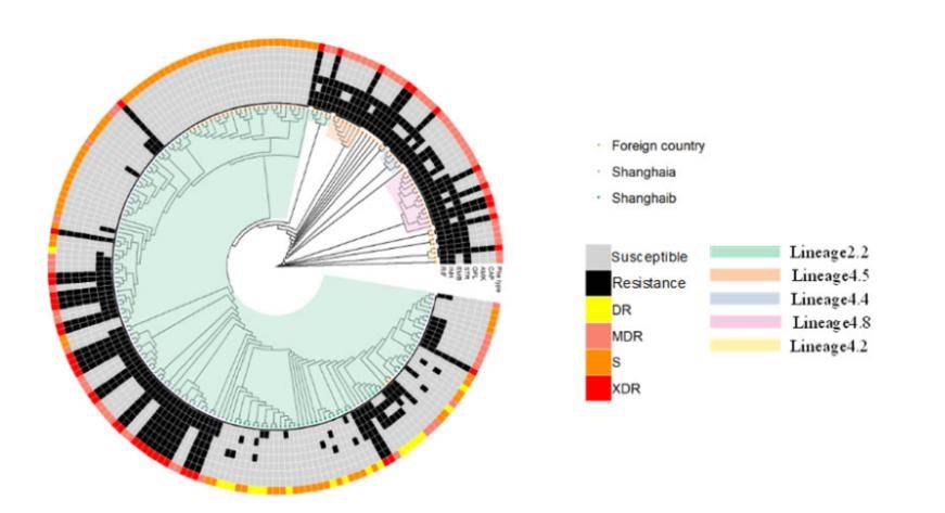 Take The Advantages of Whole Genome Sequencing in <em>Mycobacterium Tuberculosis</em> Research