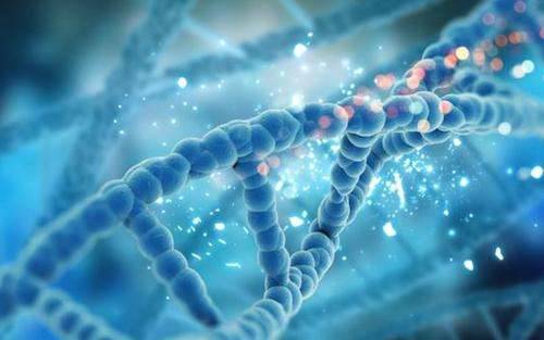 TaqMan SNP Genotyping