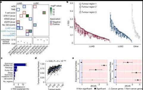 Expression diversity in the TRACERx 421 cohort