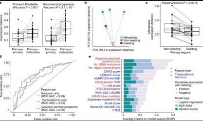 Transcriptional landscape of seeding tumor regions