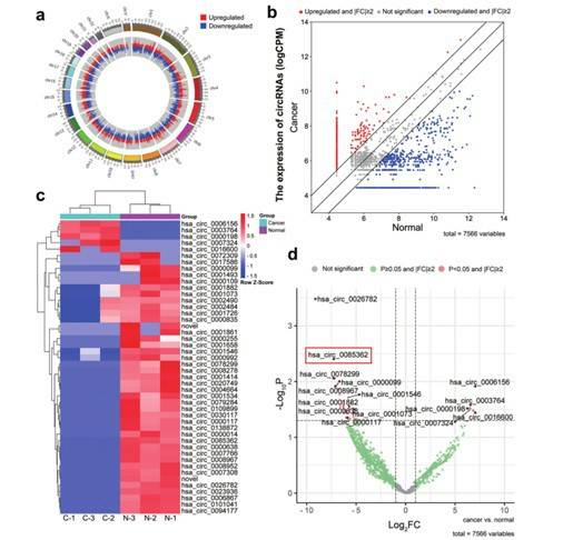 Identification of circTRPS1-2 through high-throughput sequencing of ESCC tissues