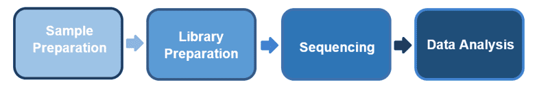 The workflow of amplicon sequencing.