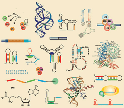Transcriptomics
