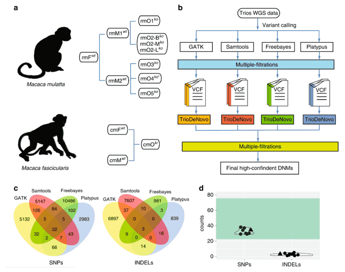 Top-10-Most-Read-Genomics-News-Stories