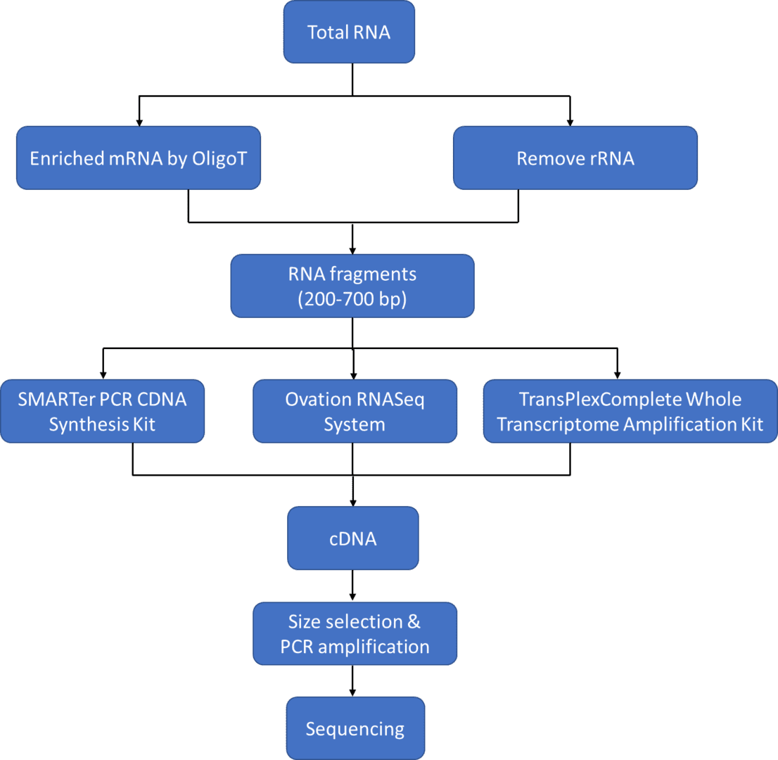 Ultra-Low Input RNA Sequencing: Applications, Platforms, And Advantages