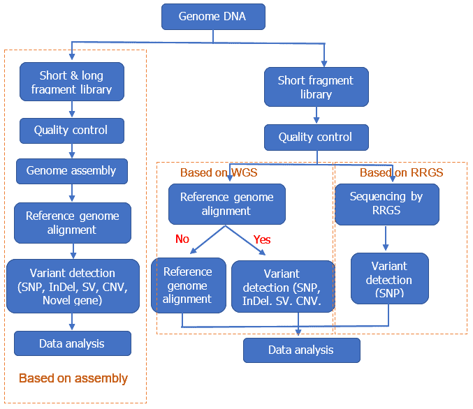 sequencing technology-based variant calling pipeline