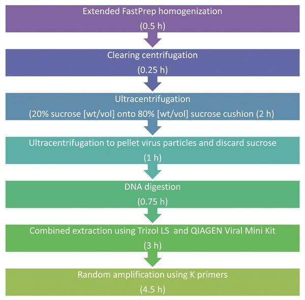 Schematic description of clinical based universal virus enrichment for viral metagenomics protocol