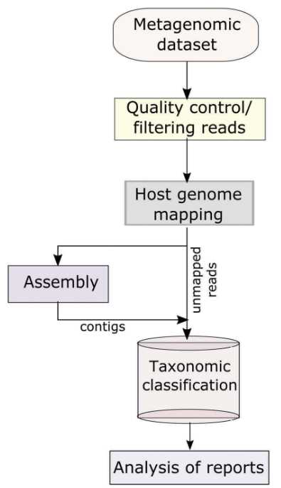 The basic informatics analysis of viral metagenomics