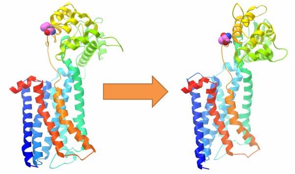 Impact of SNVs on protein tertiary structure.