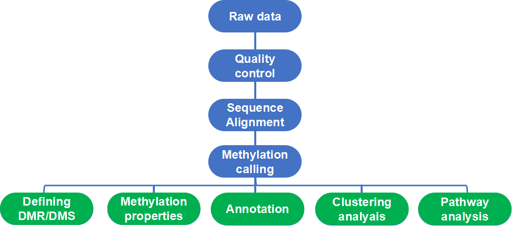 Whole Genome Bisulfite Sequencing (WGBS) Data Analysis Pipeline 